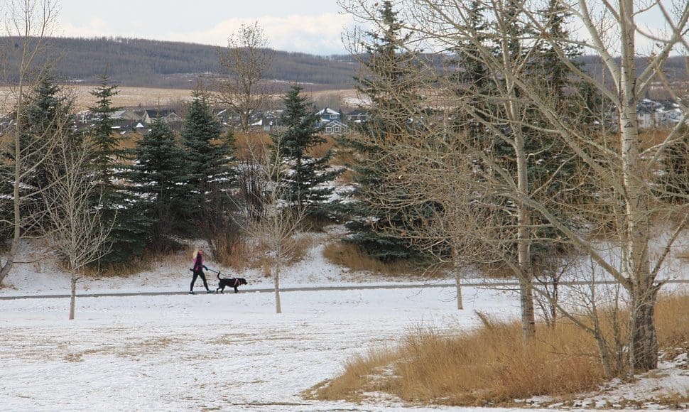 Traffic important, but remember parks, recreation, says McFadden